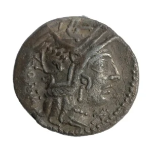 Marcus Calidius